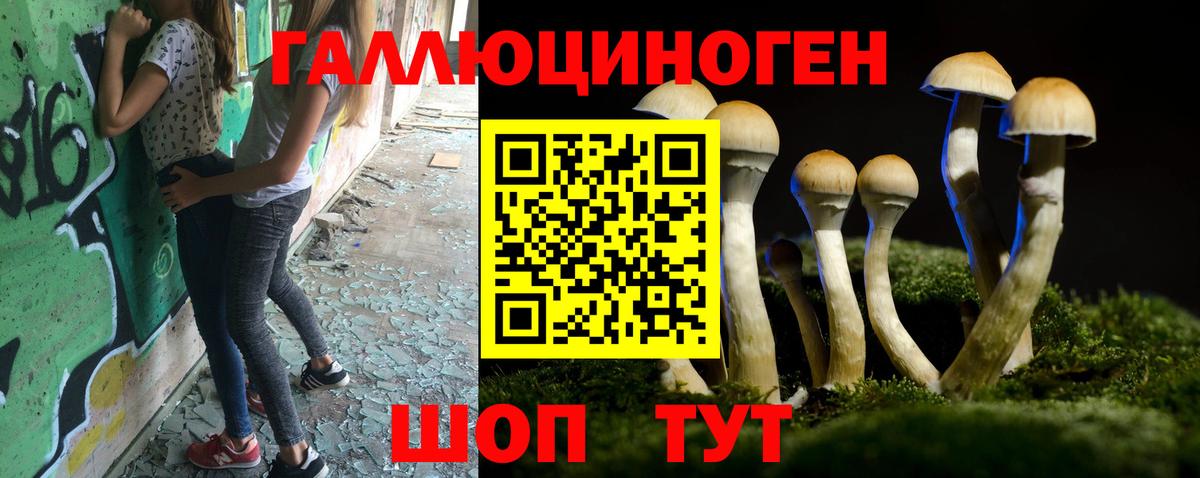 Балтийск  Галлюциногенные грибы Magic Shrooms  Вход с VPN  Галлюциногенные грибы прущие грибы 